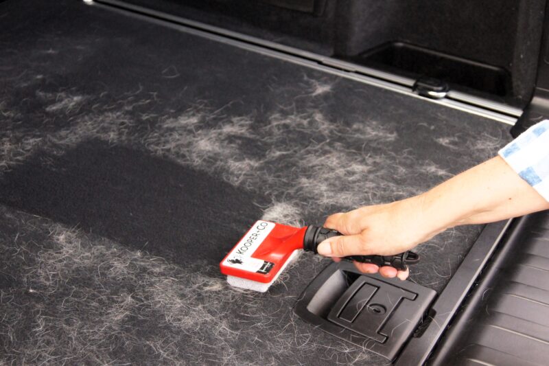 How to Get Dog Hair Out of Car Carpet